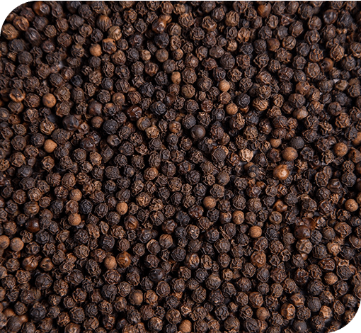Black Peppercorn