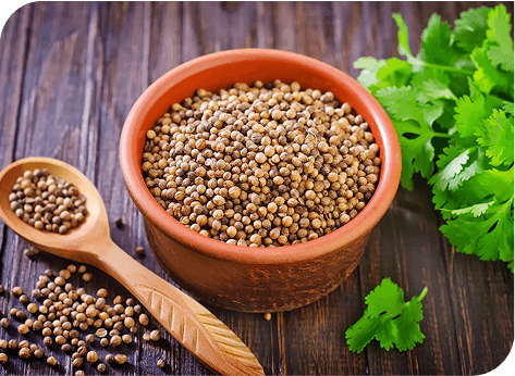 Coriander Seeds