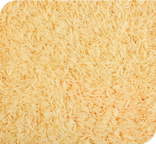 Basmati Rice